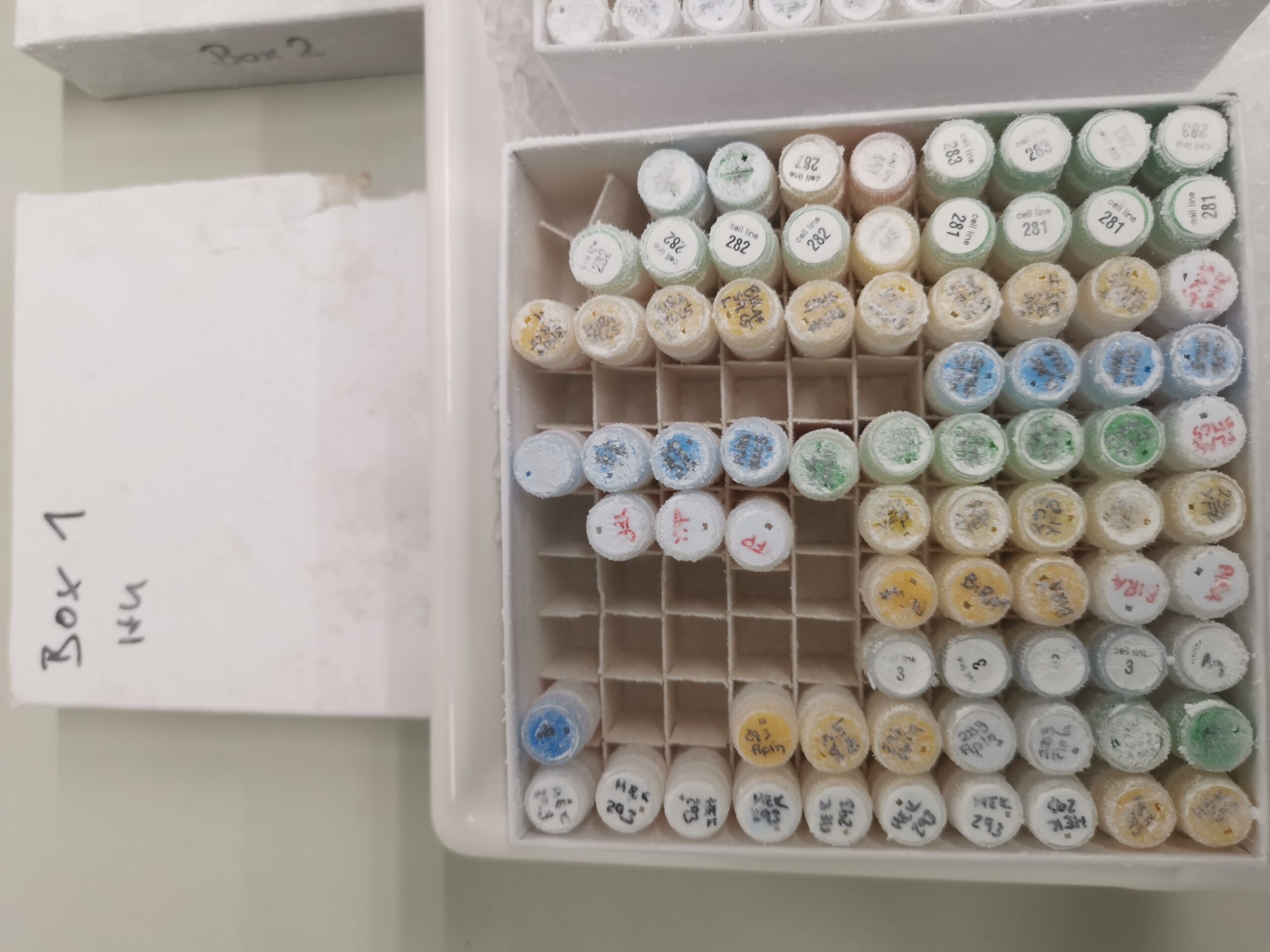 img 20250526 130751 scaled.jpg